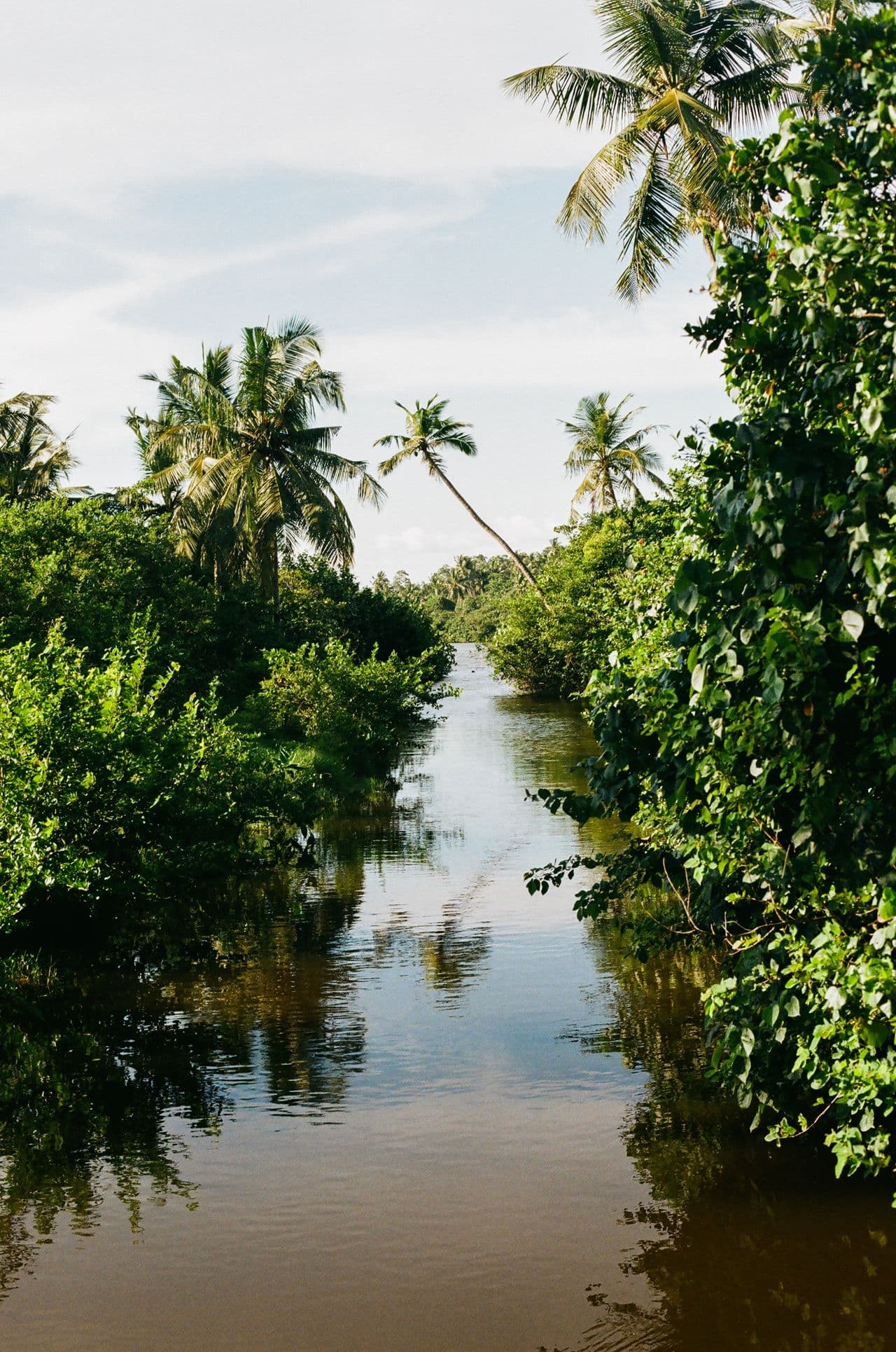 Canale olandese di Negombo