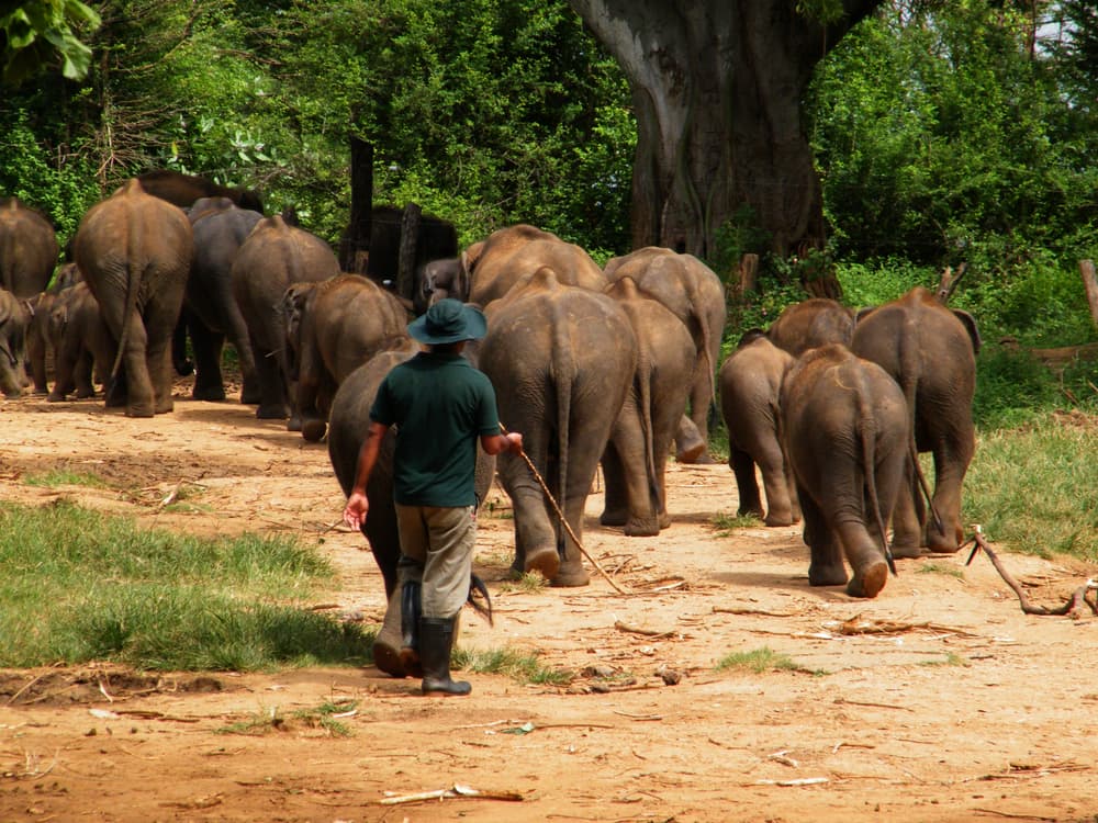 Udawalawe